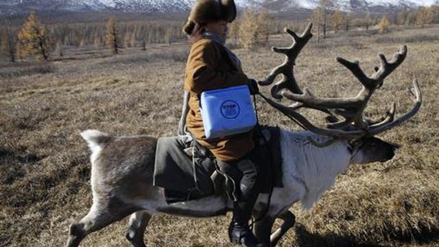 1f4e98d3-bd90-4d00-a960-98c10df679f2